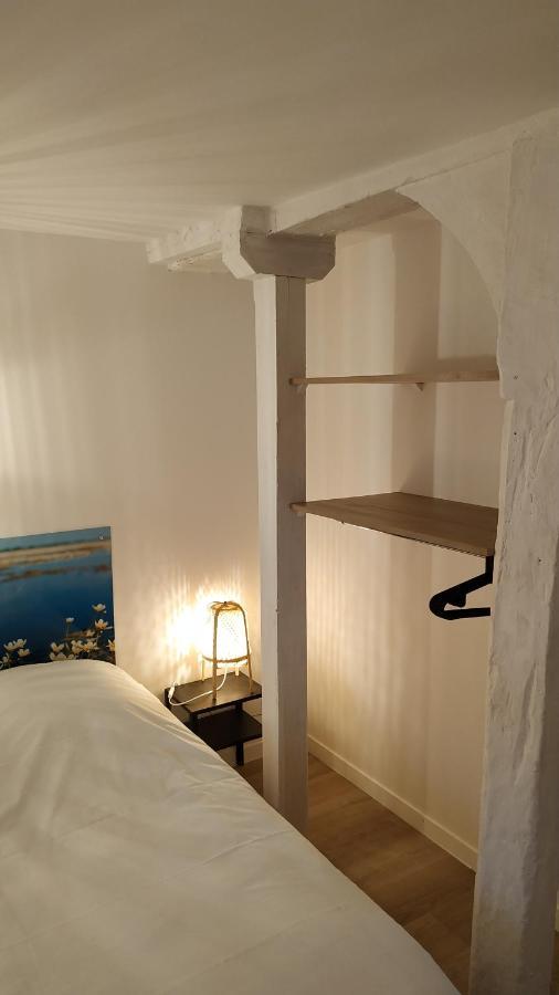 "Gite Le Relais Viennois" Vue Sur Loire & Linge Inclus 블루아 외부 사진